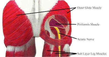 nervo sciatico, sciatica, piriforme, sindrome, allineamento della colonna vertebrale, postura, pureposture