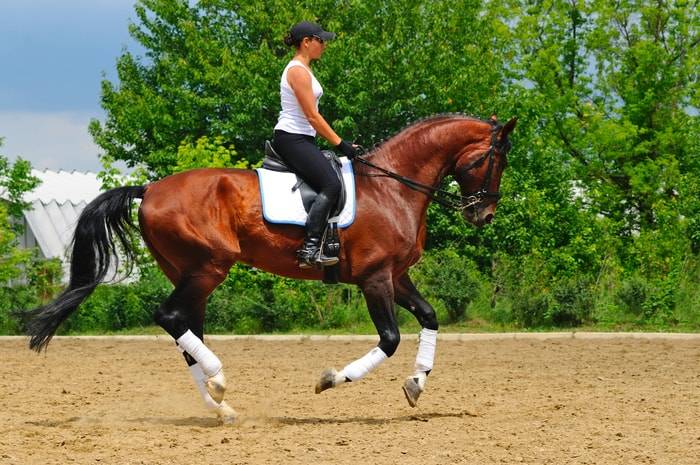 Foto di una donna a cavallo, godendosi una giornata di sole